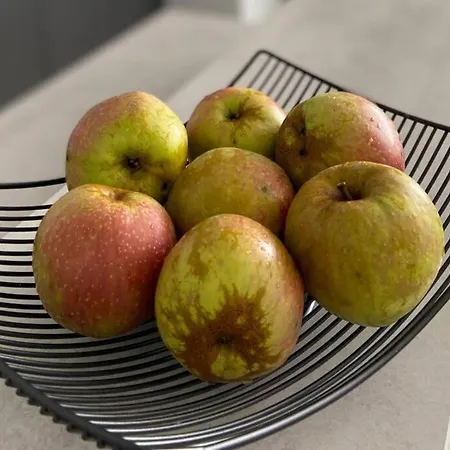 Daire Staywell Xxl Fuer 7 I Parkplatz I Kueche I Netflix