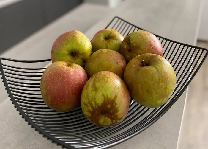 Lägenhet Staywell Xxl Fuer 7 I Parkplatz I Kueche I Netflix